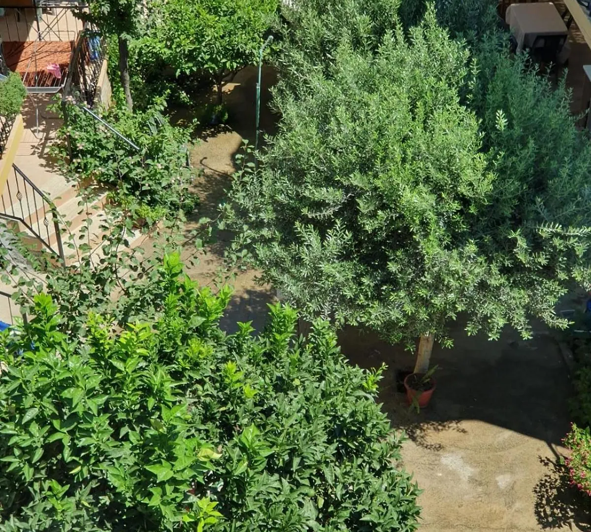 Hotel Shqiponja Velipoje